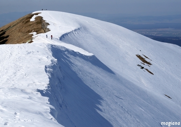 tatry